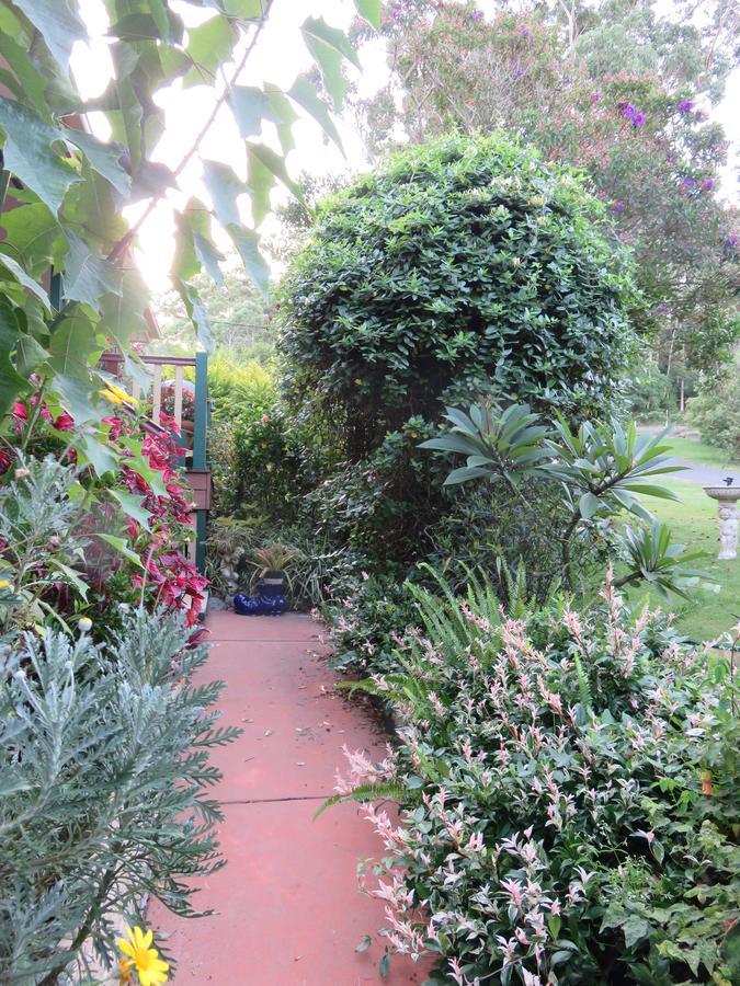 Shasta Place Apartment Mount Tamborine Bagian luar foto
