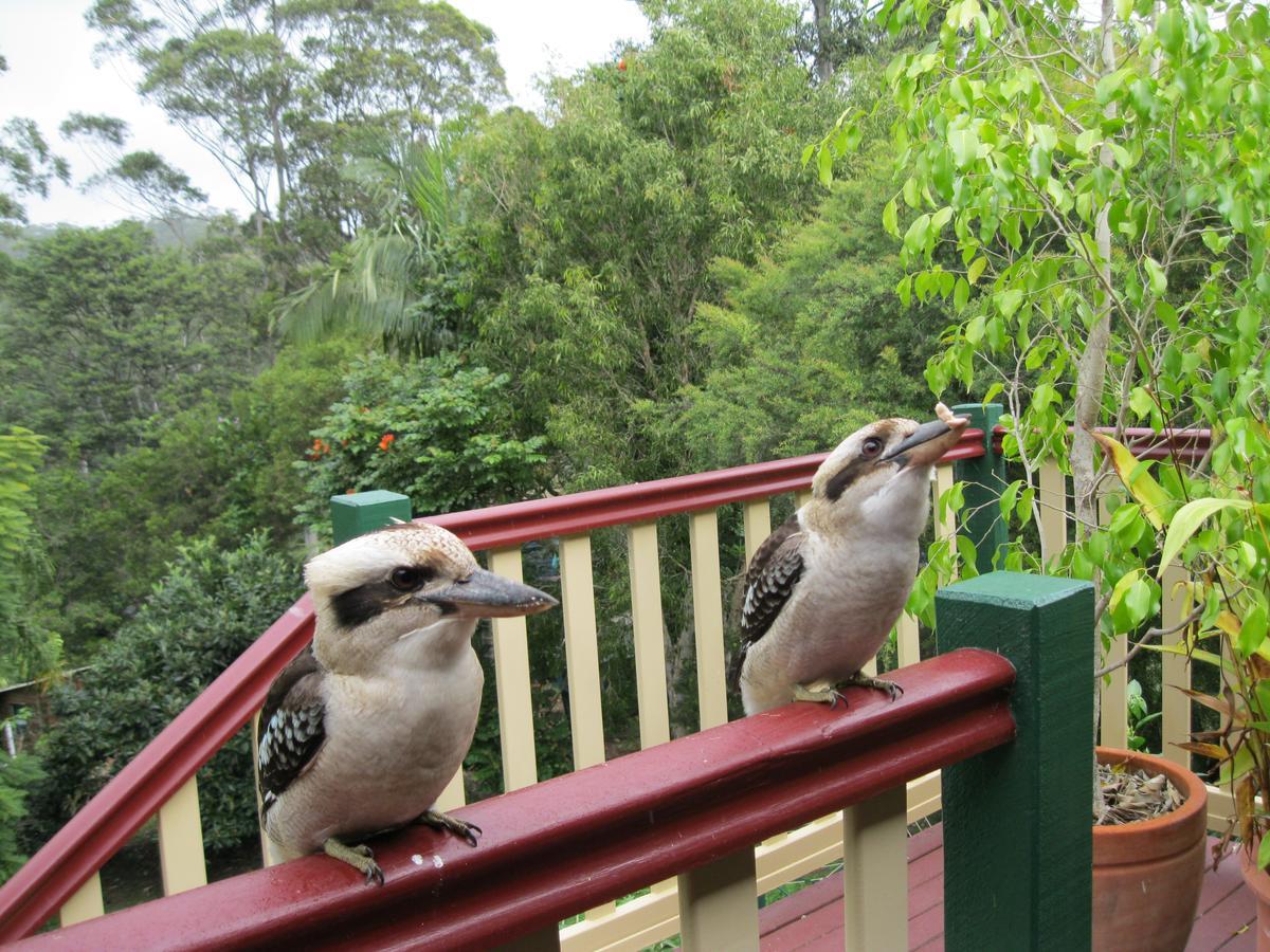 Shasta Place Apartment Mount Tamborine Bagian luar foto